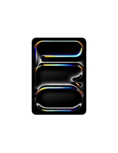 Ipad Pro 11" M5 Wifi+Cellular 256 Standard Szkło Space