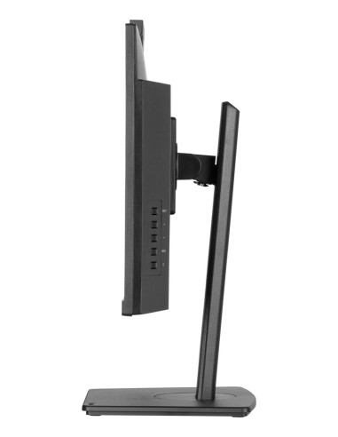 Monitor Iiyama Tft Xub2490Hsuh Ips 24''//Hdmi/Dp/Usb/Webcam/Hoev - Płaski Ekran - 60,5 Cm