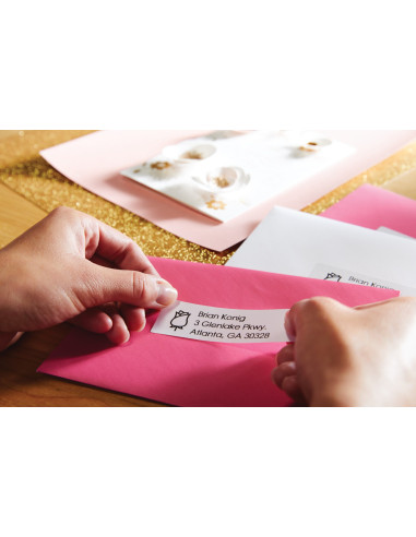 Dymo Labelwriter ® ™ 550