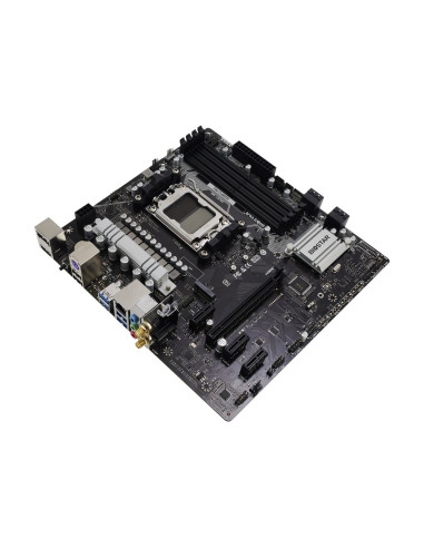 Płyta Główna Biostar A620Mp-E Pro