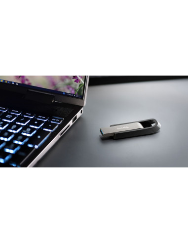 Sandisk Ultra Extreme/Go 3.2 Flash Drive 256Gb