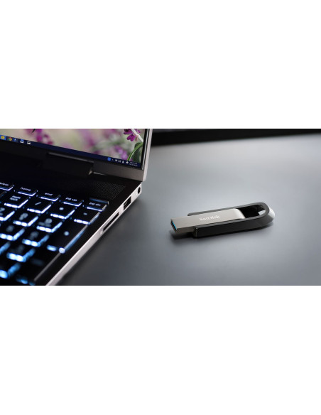 Sandisk Ultra Extreme/Go 3.2 Flash Drive 256Gb