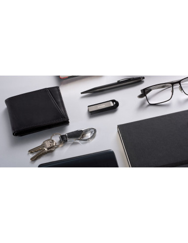 Sandisk Ultra Extreme/Go 3.2 Flash Drive 256Gb
