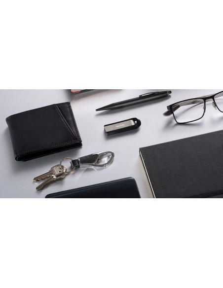Sandisk Ultra Extreme/Go 3.2 Flash Drive 256Gb
