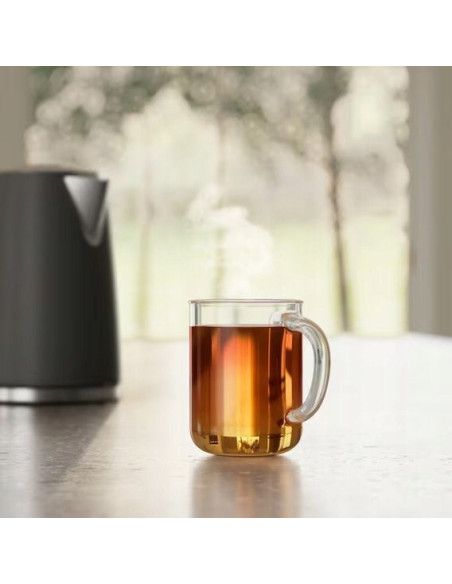 Czajnik Electrolux E5K1-6An