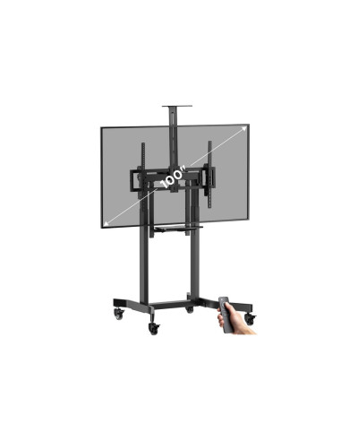Uchwyt Na Stojak Podłogowy Equip 55-100"/1Tft 120Kg 1Półka Lite Sprzedaż Detaliczna (650633)