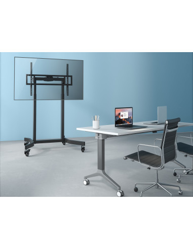 Uchwyt Na Stojak Podłogowy Equip 55-100"/1Tft 120Kg Lite Sprzedaż Detaliczna (650632)