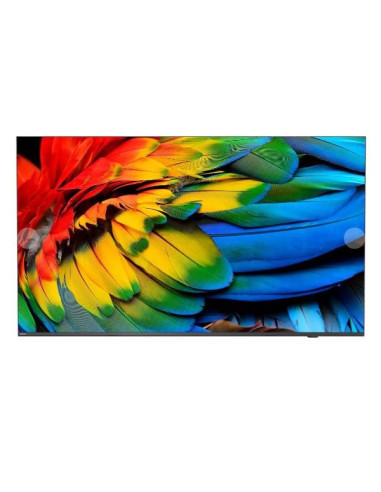 Telewizor Hotelowy Philips 50Hfl6214U/12 126.0Cm (50") Mediasuite [Klasa Energetyczna F]