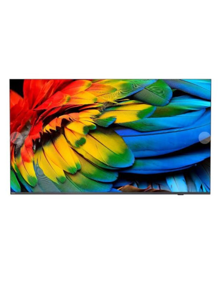 Telewizor Hotelowy Philips 50Hfl6214U/12 126.0Cm (50") Mediasuite [Klasa Energetyczna F]