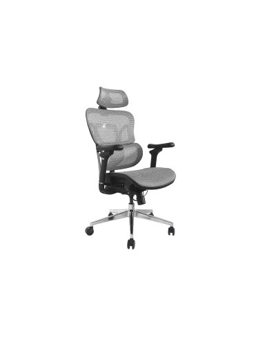 Wyposażenie Ergonomiczne Krzesło Biurowe + Zagłówek/Podłokietniki Szare Lite Sprzedaż Detaliczna
