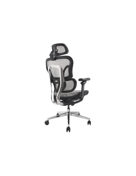 Wyposażenie Ergonomiczne Krzesło Biurowe + Zagłówek/Podłokietniki Szare Lite Sprzedaż Detaliczna