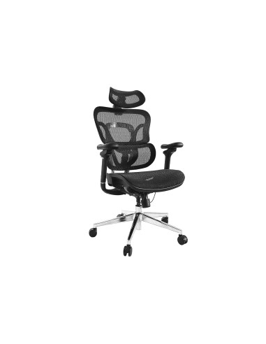 Wyposaż Ergonomiczne Krzesło Biurowe + Zagłówek/Podłokietniki Lite Sprzedaż Detaliczna