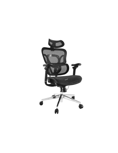Wyposaż Ergonomiczne Krzesło Biurowe + Zagłówek/Podłokietniki Lite Sprzedaż Detaliczna