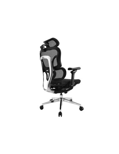 Wyposaż Ergonomiczne Krzesło Biurowe + Zagłówek/Podłokietniki Lite Sprzedaż Detaliczna