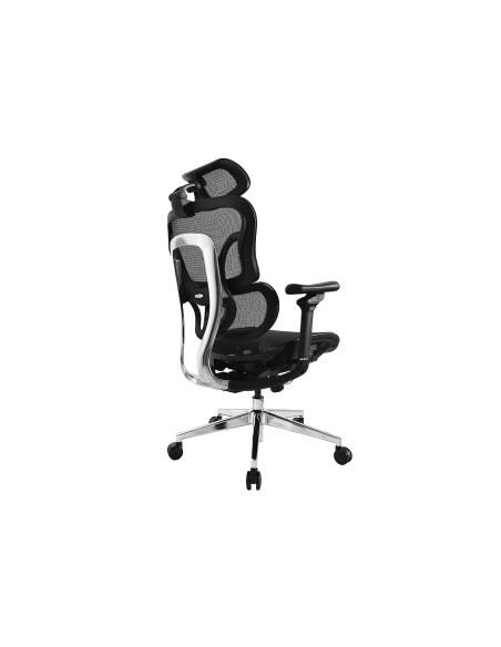 Wyposaż Ergonomiczne Krzesło Biurowe + Zagłówek/Podłokietniki Lite Sprzedaż Detaliczna