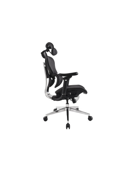 Wyposaż Ergonomiczne Krzesło Biurowe + Zagłówek/Podłokietniki Lite Sprzedaż Detaliczna
