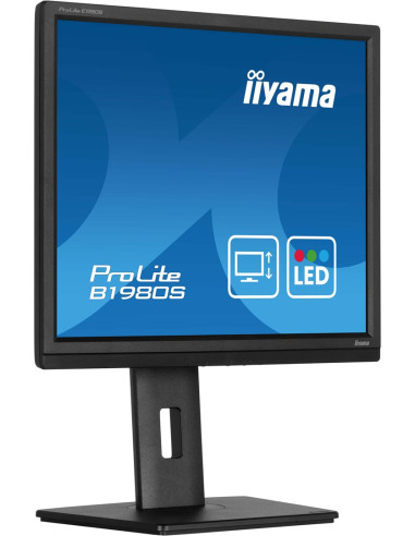 Monitor Iiyama B1980S-B1 19 Cali Panel Tn 1280X1024 250Cd/M2 Hdmi Dp