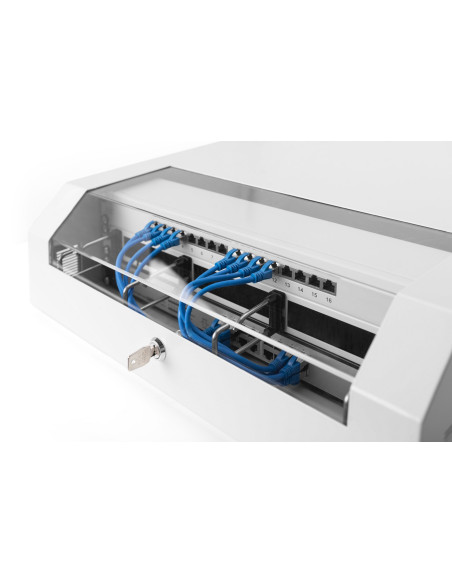 Szafa Wisząca Nws 19" Slim Line 3He Rotierbar, 2He Fix, 145X500X475 Mm, Kolor Szary (Ral 7035)