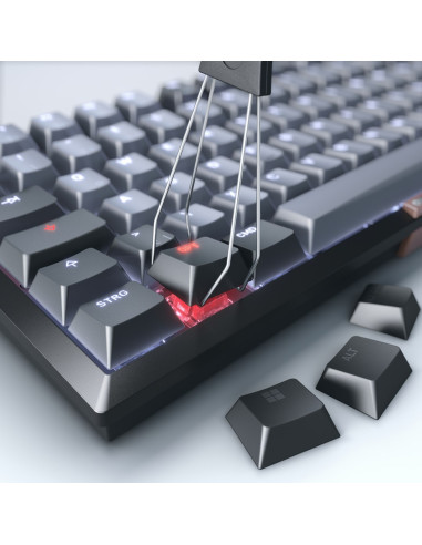 Cherry Tas Klawiatura Bezprzewodowa Mx 2A Brązowa