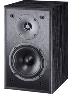 Kolumna Głoś. Magnat Monitor S10 B Czarny (2 Szt.)