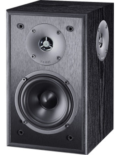 Kolumna Głoś. Magnat Monitor S10 D Czarny (2 Szt.)