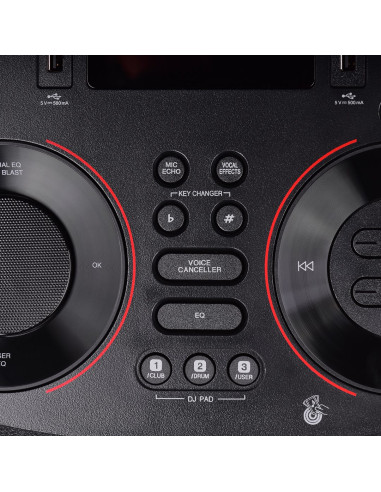 Głośnik Poweraudio Lg Rnc9