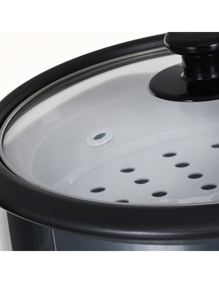 Ryżowar Russell Hobbs 19750-56
