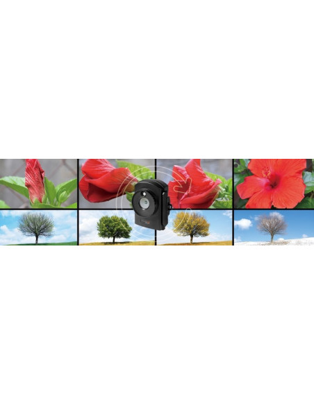 Kamera Poklatkowa Technaxx Fullhd, 12Xaa, Usb, Karta Pamięci Do 512Gb (Czarny)
