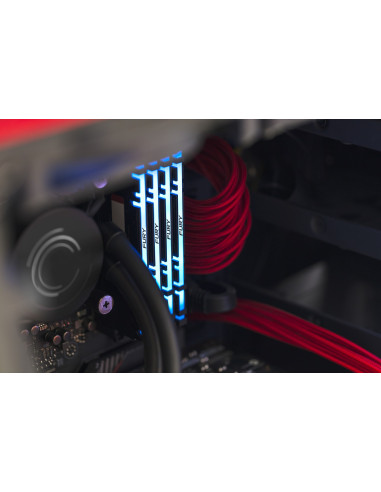 Kingston Ddr4 16Gb 3200Mt/S Cl16 Dimm Fury Renegade Rgb