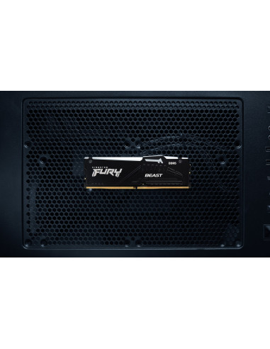 Kingston Fury Ddr5 32Gb (1X32Gb) 5600Mhz Cl36 Beast Black Rgb Expo