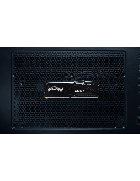 Kingston Fury Ddr5 32Gb (1X32Gb) 5600Mhz Cl36 Beast Black Rgb Expo