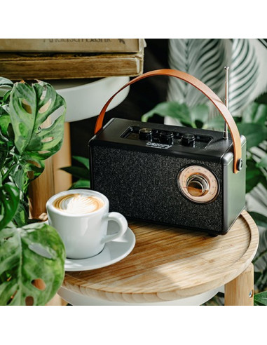 Radio Camry Cr 1902B  Fm Z Bluetooth - Usb-C