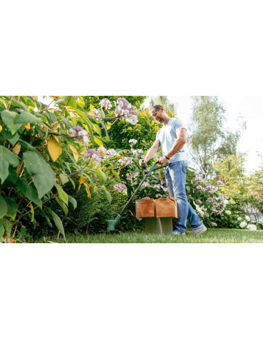 Bosch Easygrasscut 23 23 Cm 280 W Prąd Przemienny Czarny, Zielony