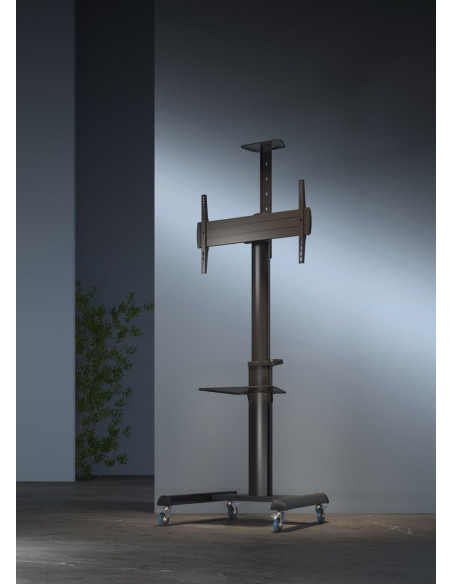 Gembird Tvs-70T-02 Aluminiowy Stojak Pod Telewizor Mobilny Z Kółkami, 37" - 70", Czarny