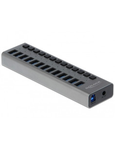 Delock Hub Zewnętrzny Usb 5 Gbps – 13 Portów + Switch