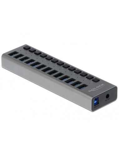Delock Hub Zewnętrzny Usb 5 Gbps – 13 Portów + Switch