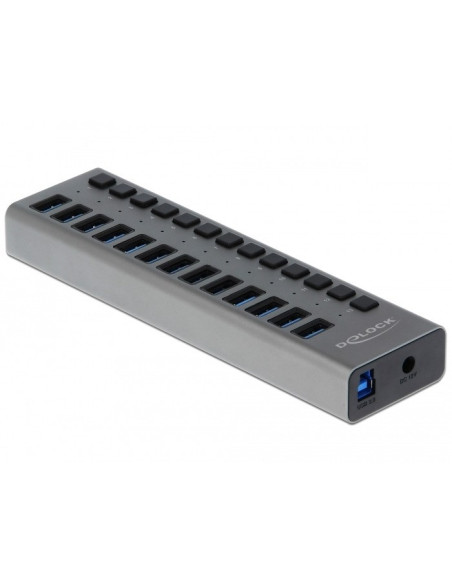 Delock Hub Zewnętrzny Usb 5 Gbps – 13 Portów + Switch