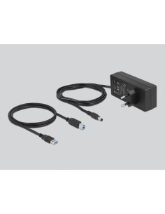Delock Hub Zewnętrzny Usb 5 Gbps – 13 Portów + Switch 2