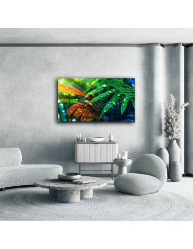 Thomson 43Mg7C15 Telewizor 109,2 Cm (43") 4K Ultra Hd Smart Tv Wi-Fi Czarny 320 Cd/M2