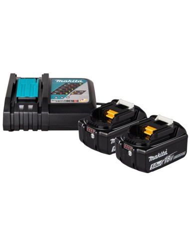 Charger And Battery Set 2X5Ah 18V