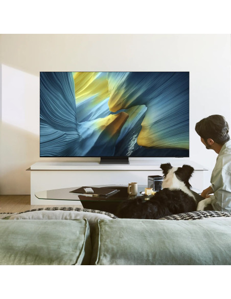 Samsung Qe65S95Fat 165,1 Cm (65") 4K Ultra Hd Smart Tv Wi-Fi Czarny