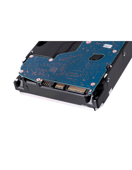 Synology Hdd Plus Series (12Tb  3.5"  Sata)
