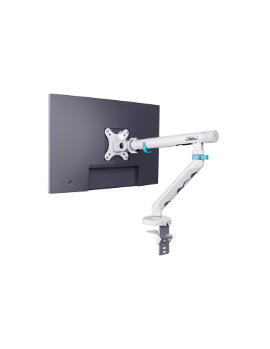 Digitus Pojedynczy Uchwyt Do Monitora, 35", 10 Kg