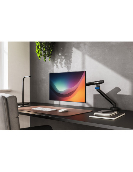 Digitus Pojedynczy Uchwyt Do Monitora, 35", 10 Kg