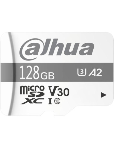 Karta Pamięci Microsd Dahua Tf-P100/128Gb