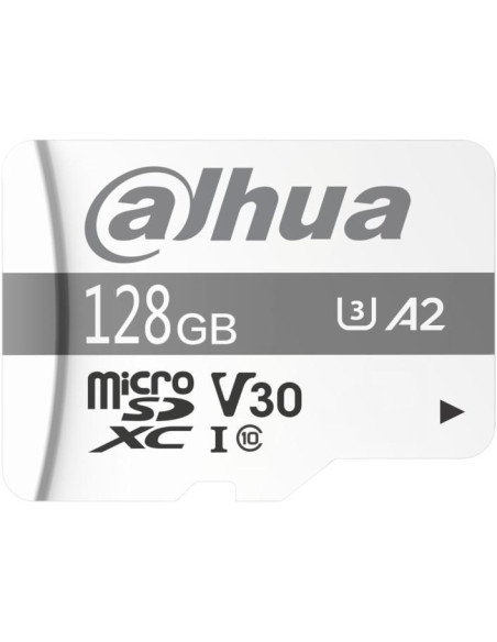 Karta Pamięci Microsd Dahua Tf-P100/128Gb