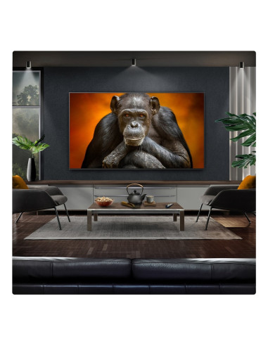 Telewizor Lg Oled65G54Lw Oled Evo 65" 4K Ultra Hd 120Hz Webos Dolby Digital Czarny