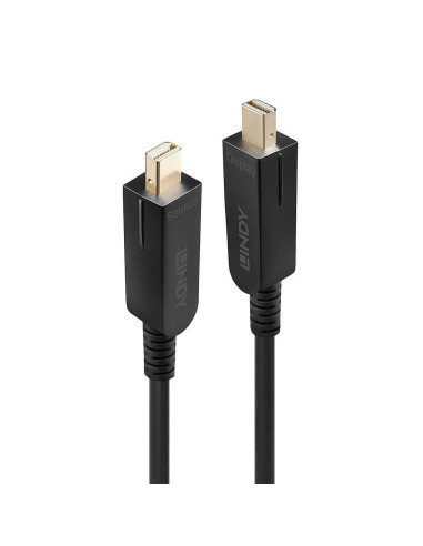 Lindy 38481 Kabel Displayport 20 M Mini Displayport Czarny