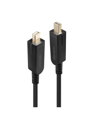 Lindy 38481 Kabel Displayport 20 M Mini Displayport Czarny