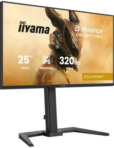 Iiyama G-Master Gb2591Hsu-B1 Monitor Komputerowy 62,2 Cm (24.5") 1920 X 1080 Px Full Hd Led Czarny